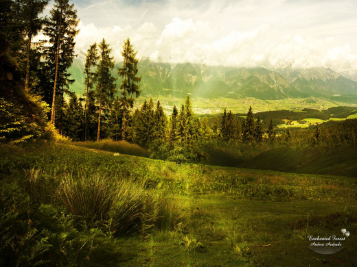 43359 (a): :1600x1200